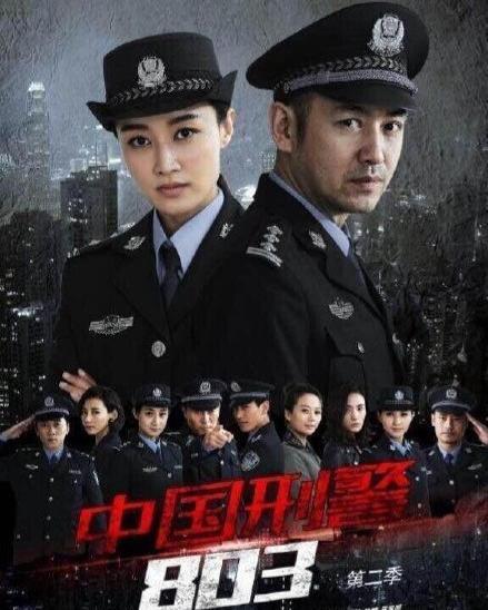 中国刑警803演员表,实力派演员阵容揭秘