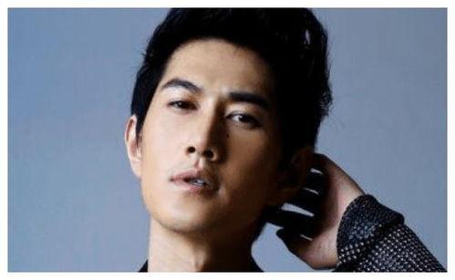 演员白天,光影交织下的璀璨星途