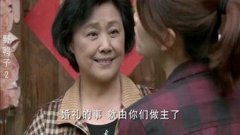 野鸭子第二部演员表,实力派加盟，精彩演绎续集传奇